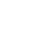 UNMATCHED PRICING (НЕСРАВНЕННЫЕ ЦЕНЫ)