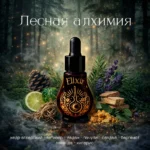 Лесная алхимия